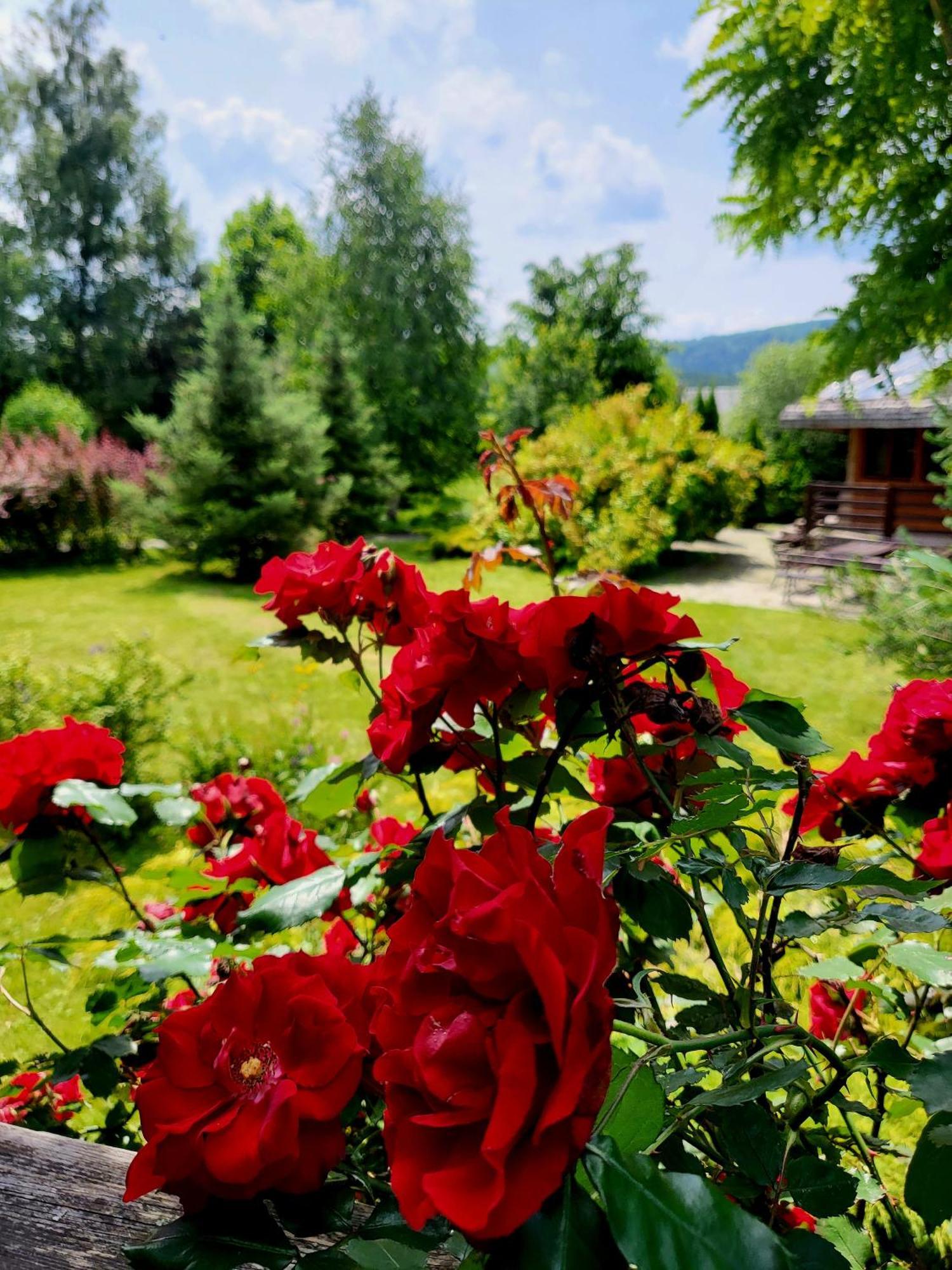 Bieszczadzki Osrodek Wypoczynkowo Konferencyjny Danfarm Hotel Ustrzyki Dolne Exterior photo