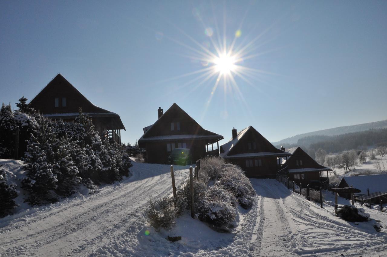 Bieszczadzki Osrodek Wypoczynkowo Konferencyjny Danfarm Hotel Ustrzyki Dolne Exterior photo