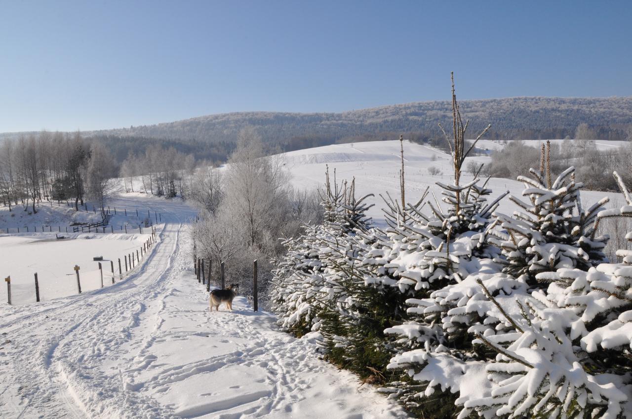 Bieszczadzki Osrodek Wypoczynkowo Konferencyjny Danfarm Hotel Ustrzyki Dolne Exterior photo