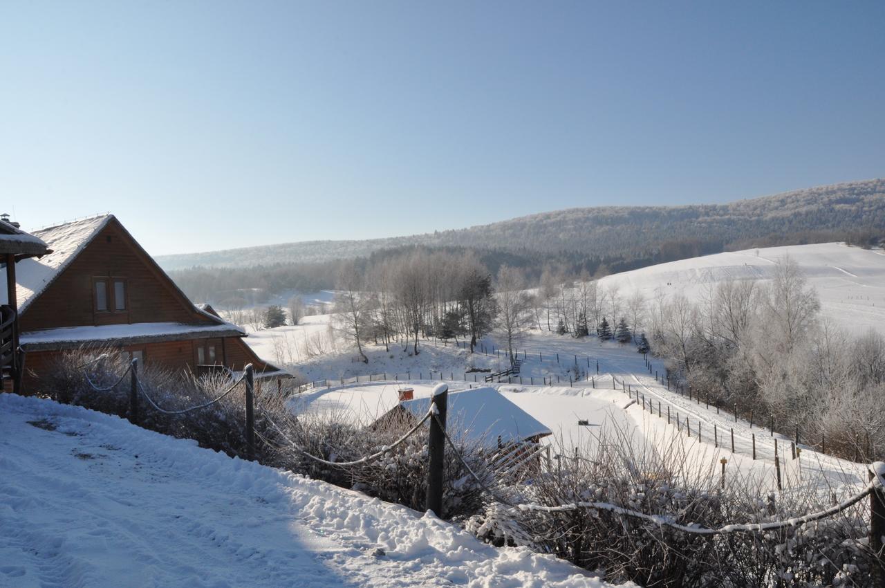 Bieszczadzki Osrodek Wypoczynkowo Konferencyjny Danfarm Hotel Ustrzyki Dolne Exterior photo